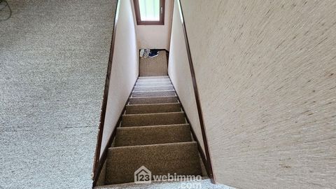 photo no. 11