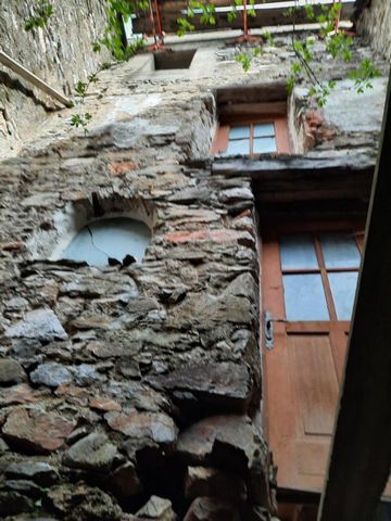 photo no. 4