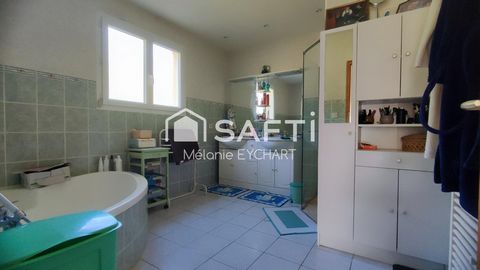 photo no. 11