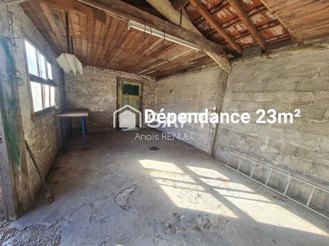 photo no. 8