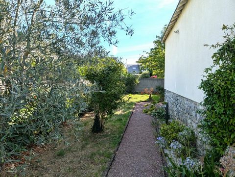 photo no. 10