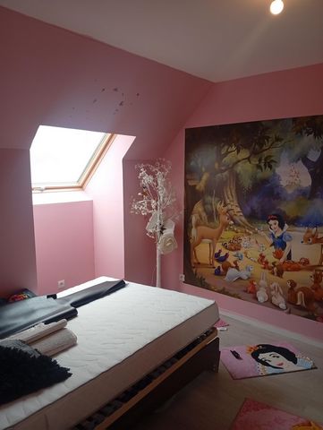 photo no. 8
