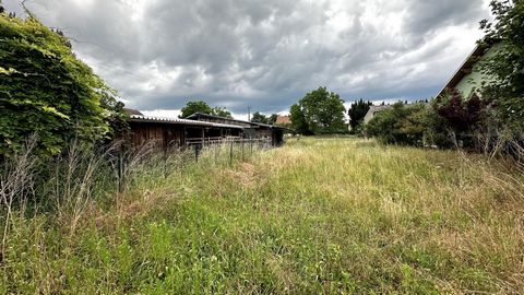 photo no. 18