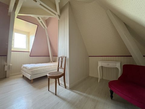 photo no. 8