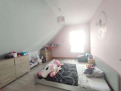 photo no. 9