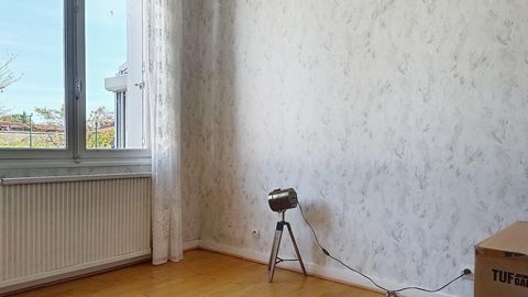 photo no. 7