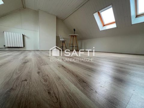 photo no. 12