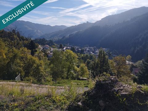 photo no. 10