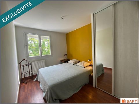 photo no. 10
