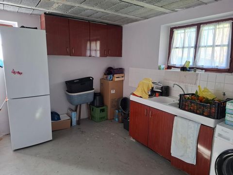 photo no. 11
