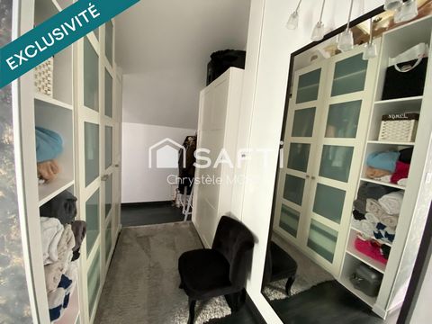 photo no. 11