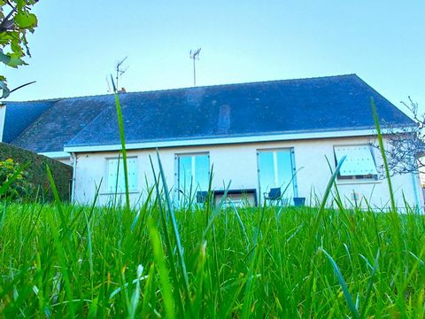 photo no. 16