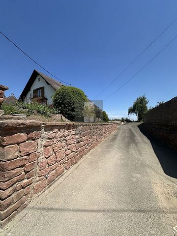photo no. 5