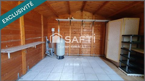photo no. 10