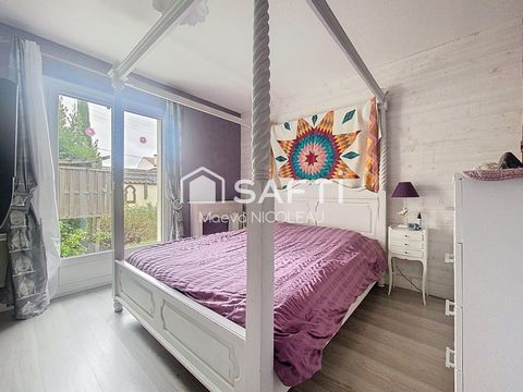 photo no. 11