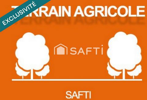Terrain agricole plat