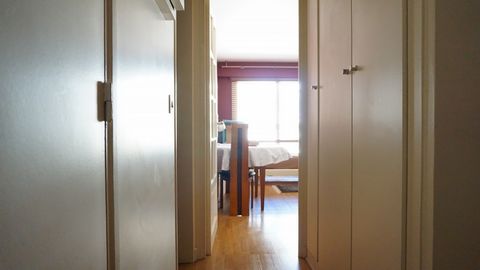 photo no. 8