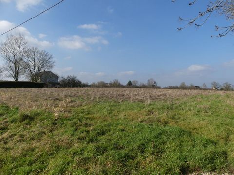 Entre Cuisery et Louhans – Terrain constructible de 1 178 m²