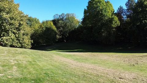 photo no. 9