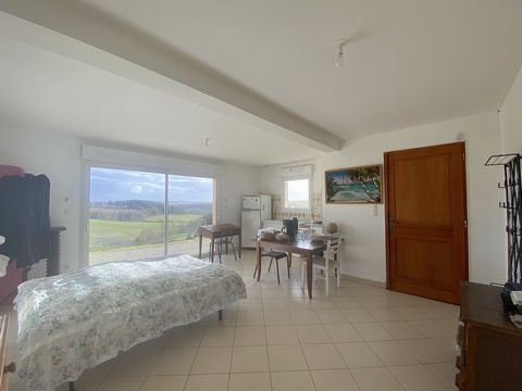 photo no. 13