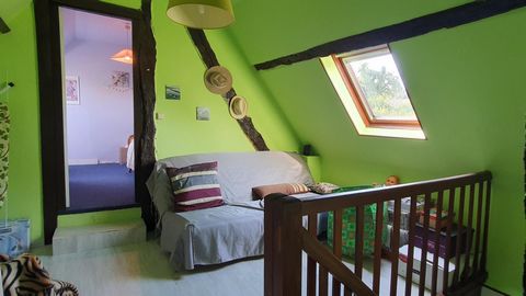 photo no. 11