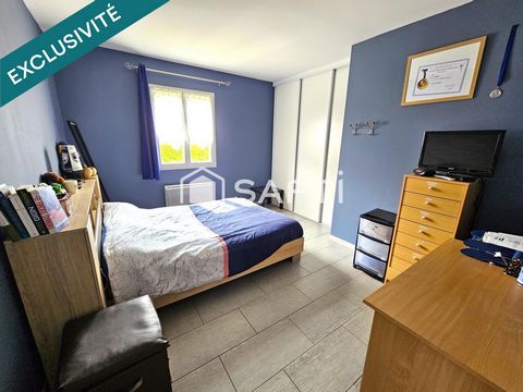 photo no. 10
