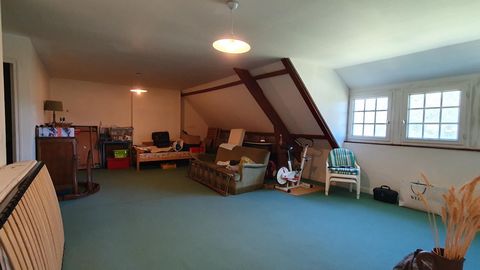 photo no. 12
