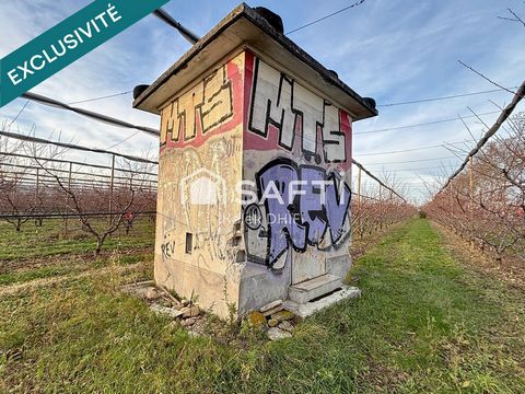 lOCAL SUR UN JARDIN