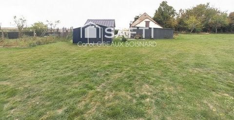 photo no. 13