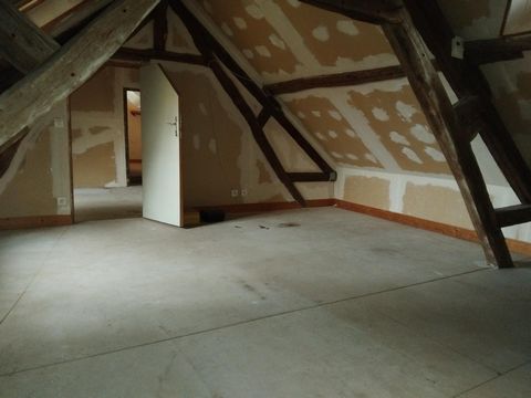 photo no. 8