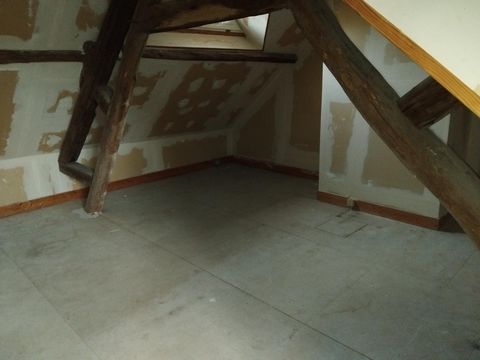 photo no. 9