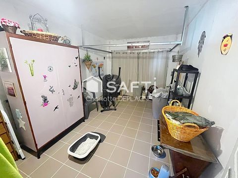 photo no. 14
