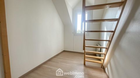 photo no. 10