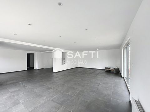 photo no. 6