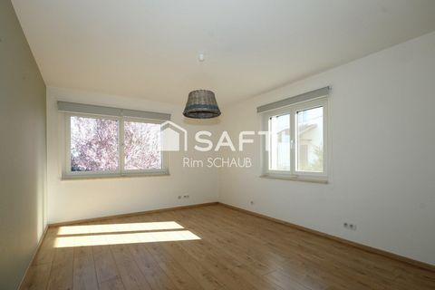 photo no. 6