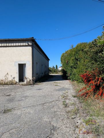 photo no. 4