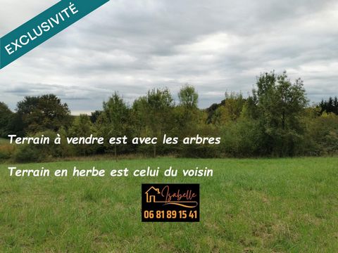 photo no. 2
