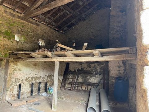 photo no. 15