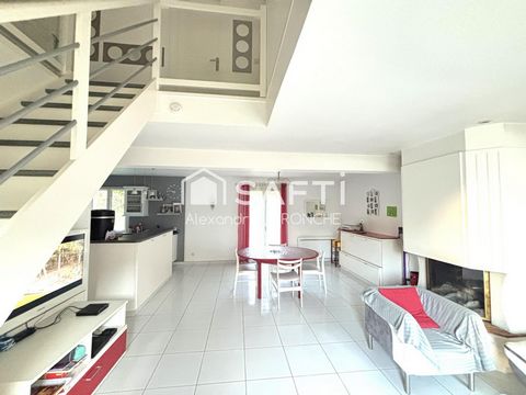 photo no. 2