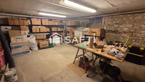 photo no. 11