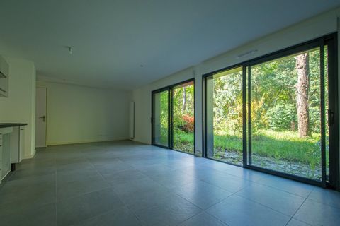 photo no. 2