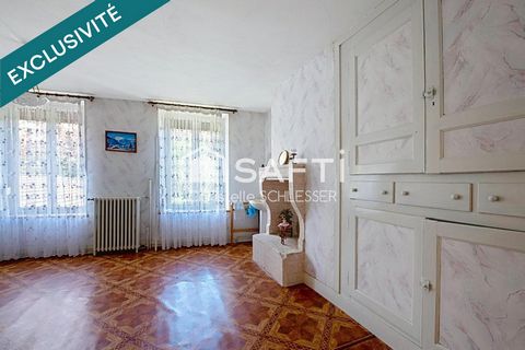 photo no. 11