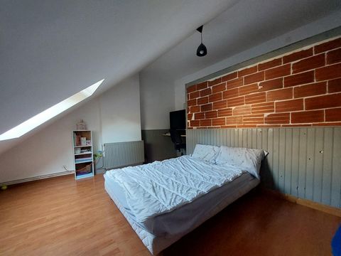 photo no. 11