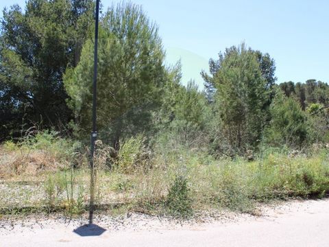 Urban land with 500m² located near the beach 'Cabanas Velhas' and 2 minutes from the fishing village of Burgau. It allows the construction of a villa with gross construction area up to 220m², with two floors and swimming pool. Surrounded by countrysi...