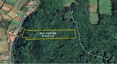 Large Rustic Land, with 6.534 m2 located in the parish of Biscoitos, municipality of Vila da Praia da Vitória. The land is inserted in Forest zone and the access to the land is made through a pedestrian path. SALE VALUE on campaign! Energy Rating: Ex...