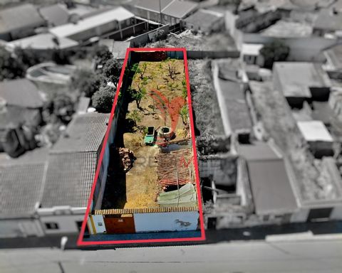 Urban land, located in the village of Muge, With an area of 430.60 m2, you can build your villa here, on the land there is a well and an annex / storage room with 69.60 m2 (exempt from licensing) to recover. Book your visit. Features: - Garden - Park...