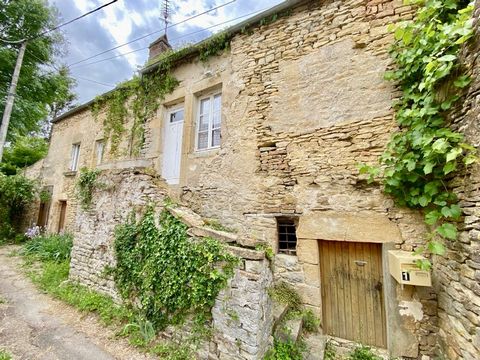 Beautiful village house in Saint-Père. This house is very suitable for a young couple or for a rental or pied-à-terre investment. The house is built on three vaulted cellars, the interior space has 2 studios, each with its kitchenette and its shower ...