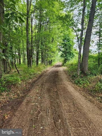 Are you in search of your own slice of paradise to create your dream residence? Today might just be your lucky day! Discover this expansive 11+ acre flag lot tucked away in the tranquil Central Bucks region. Despite its serene seclusion, it's surpris...