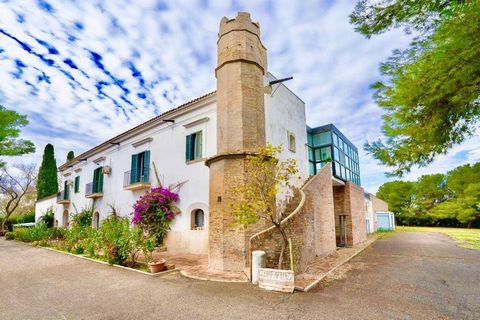 The Apulian territories are rich in majestic architecture and Arab influences that tell of an ancient and noble past. The Monti Dauni agricultural landscape offers spectacular panoramic views, and it is in these territories that Masseria Cavalli was ...