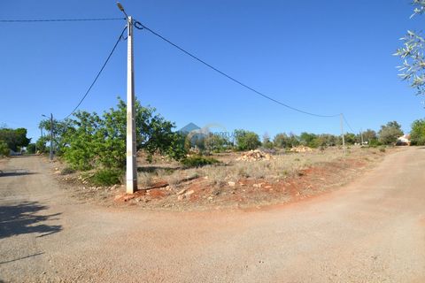 Rustic land with 7180 m2, good access, just a few minutes from Ferreiras and Paderne, water and electricity nearby.
